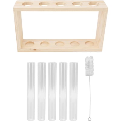 Terrarium Plante en Tube à Essai Transparent Observer l'État de Croissance Support Plante Aquatique avec Support en Bois