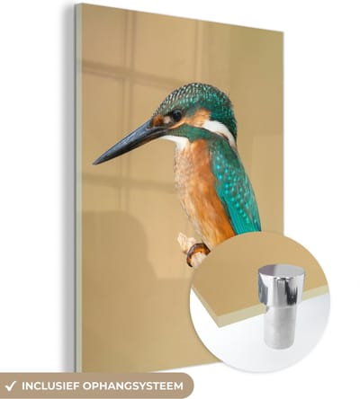 MuchoWow® Glasschilderij 30x40 cm - Schilderij acrylglas - IJsvogel - Dieren - Vogel - Foto op glas - Schilderijen