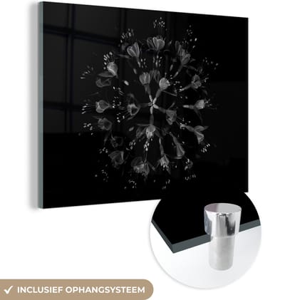 MuchoWow® Glasschilderij 160x120 cm - Schilderij acrylglas - Bloem - Paars - Blauw - Macro - Zwart - Foto op glas - Schilderijen