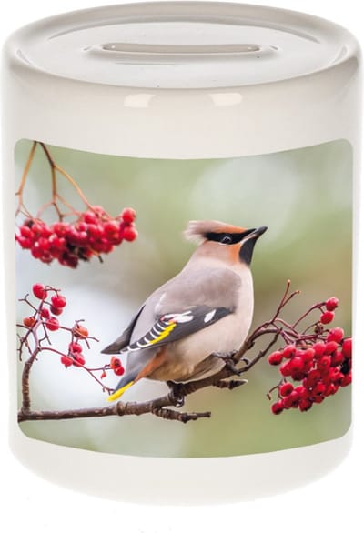 Dieren pestvogel foto spaarpot 9 cm jongens en meisjes - Cadeau spaarpotten pestvogel vogels liefhebber