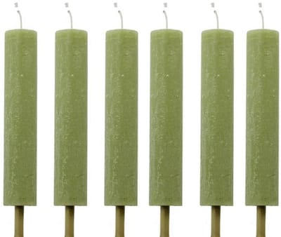 Cactula Fakkels Thijm – Ø3,8x20 cm – 10 Branduren – Set van 6 – Buitenkaarsen