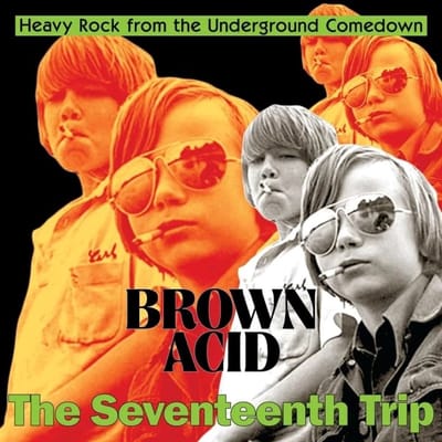 Various Artists - Brown Acid: The Seventeeth Trip (LP)