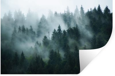 Muurstickers - Sticker Folie - Mist - Bomen - Bos - 30x20 cm - Plakfolie - Muurstickers Kinderkamer - Zelfklevend Behang - Zelfklevend behangpapier - Stickerfolie