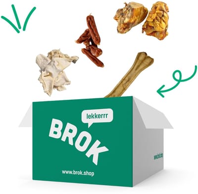 BROK Verjaardag Snackpakket Voor Honden – Cadeau Met Natuurlijke Kauwsnacks – 3 Runderneuzen, Runderknieschijf, Buffelhuidbeen, Snackworstjes – 100% Natuurlijk