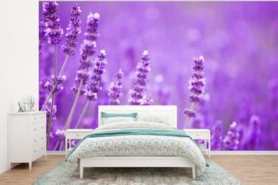 Behang - Fotobehang Lavendel - Close-up - Bloemen - Paars - Breedte 400 cm x hoogte 300 cm