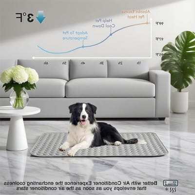 Hondenkoelmat 62 x 50 cm, Zelfkoelende Deken voor Huisdieren, Ideaal voor Warm Weer, Zacht en Ademend, Geschikt voor Honden en Katten