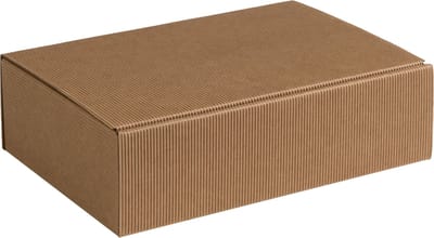 Geschenkdoos ribbelkarton 20x14x7cm NATUREL (100 stuks)
