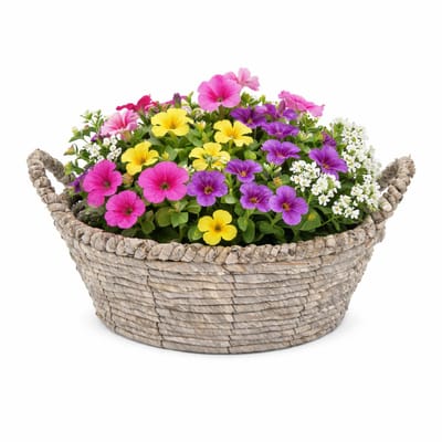 Mega Collections bloemen/plantenmand Sneek - grijs - riet - D33 x H15 cm - bloempot/plantenpot
