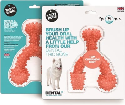 TastyBone - Large - Dental Trio Bone - Cinnamon & Mint - Hond - Kauwspeelgoed - Vegan - Kluif - Nylabone