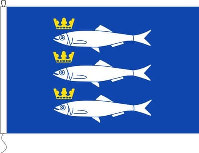 vissertrading Scheveningse vlag - 100x150cm - Vlag met 3 vissen