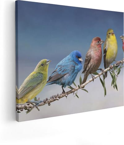 Artaza Canvas Schilderij Kleurrijke Vogels - 50x40 cm - Wanddecoratie Natuur - Muurdecoratie Vogels Op Tak - Kamer Accessoires