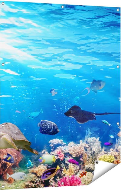 Gards Tuinposter Vissen met Koraalrif onder Water - 90x120 cm - Tuindoek - Tuindecoratie - Wanddecoratie buiten - Tuinschilderij
