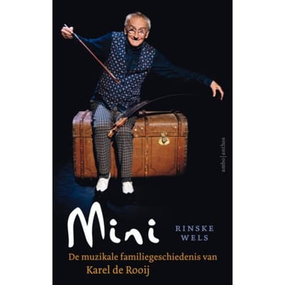 Mini - Dick van den Heuvel
