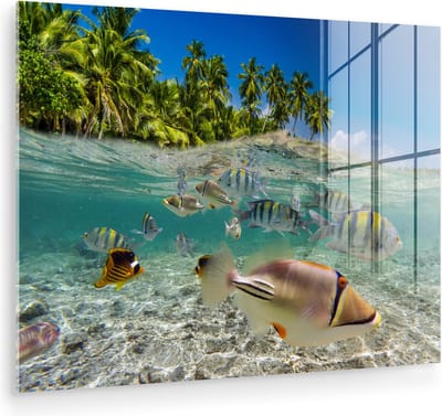 MuchoWow® Glasschilderij 80x60 cm - Schilderij acrylglas - Strand - Vissen - Tropisch - Foto op glas - Muurdecoratie woonkamer - Wanddecoratie slaapkamer - Schilderijen