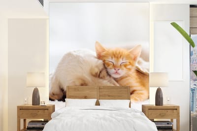 Behang - Fotobehang Dieren - Hond - Kitten - Rood - Breedte 205 cm x hoogte 280 cm