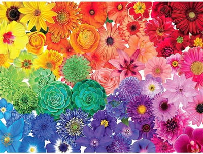 Puzzel 1000 Stukjes - Legpuzzel Volwassenen - Ontspannend Spel - Hoge Kwaliteit Karton - 70 x 50 cm - Regenboog Bloemen