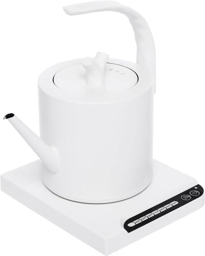 Elektrische Waterkoker met Variabele Temperatuurinstelling en Warmhoudfunctie
