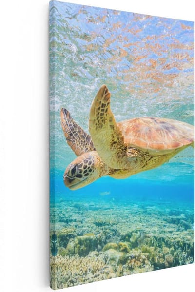 Artaza Canvas Schilderij Schildpad Onderwater - 20x30 cm - Klein - Muurdecoratie Zee - Wanddecoratie Woonkamer - Kamer Accessoires