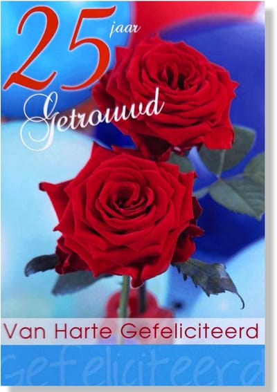 25 jaar Getrouwd! Luxe Zilveren huwelijk wenskaart 25 jarig jubilieum - 12x17cm - Gevouwen kaart inclusief envelop - Huwelijkskaart'