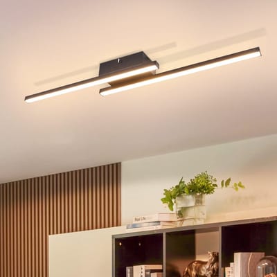 NETTLIFE Plafondlamp LED - 2-Lichts - zwart - 3000K Warm Wit Licht - Metaal en PC - Modern Plafondverlichting - voor Woonkamer | Slaafkamer | Gang - 12W