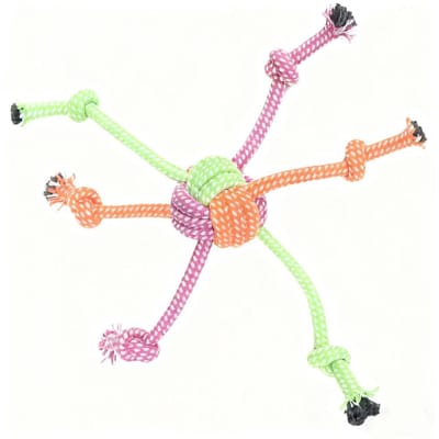 Daity Twee grote hondentouwen, 30 cm lange interactieve trekspelletjes, kauwbestendig gevlochten touw, meerkleurig ontwerp, geschikt voor interactieve spelletjes en training (meerkleurig).