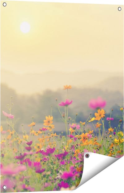 Gards Tuinposter Bloemenveld met Kosmos - Zonsondergang - 60x80 cm - Tuindoek - Tuindecoratie - Wanddecoratie buiten - Tuinschilderij