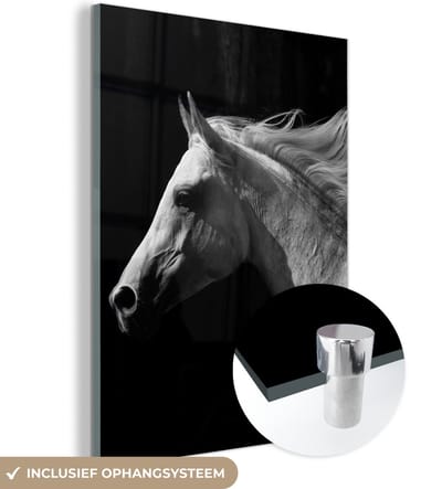 MuchoWow® Glasschilderij 120x160 cm - Schilderij acrylglas - Paarden - Dieren - Portret - Foto op glas - Schilderijen