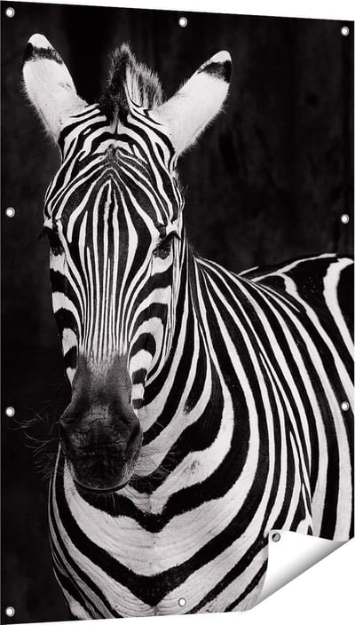 Gards Tuinposter Twee Zebra's - Zwart Wit - 80x120 cm - Tuindoek - Tuindecoratie - Wanddecoratie buiten - Tuinschilderij