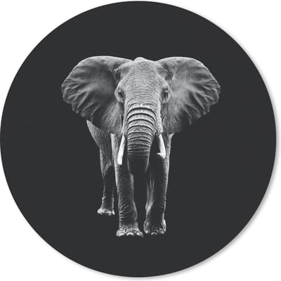 Muismat rond 20x20 cm - Mousepad Olifant - Tanden - Dieren - Zwart - Wit - Ronde muismatten