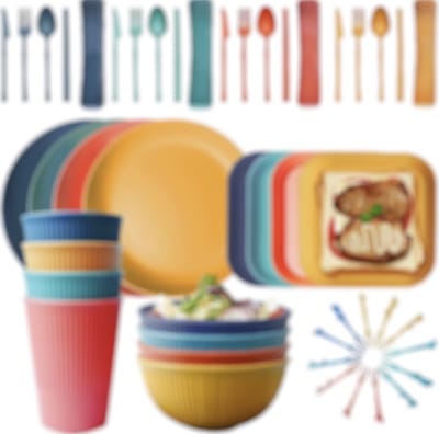 48 delig kuntstof servies voor 4 personen ideaal voor een feest bbq of Picknick. herbruikbaar
