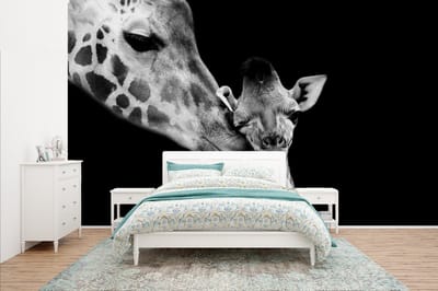 Behang - Fotobehang Dieren - Zwart - Wit - Giraffe - Portret - Breedte 400 cm x hoogte 240 cm