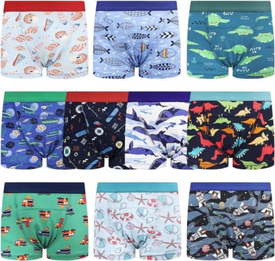 Boxer Stijl Trainingsbroek - Oefenbroekjes Luierbroekjes - Potty Training - 6 Laags Absorptie - 2-6 Jaar - Blauw