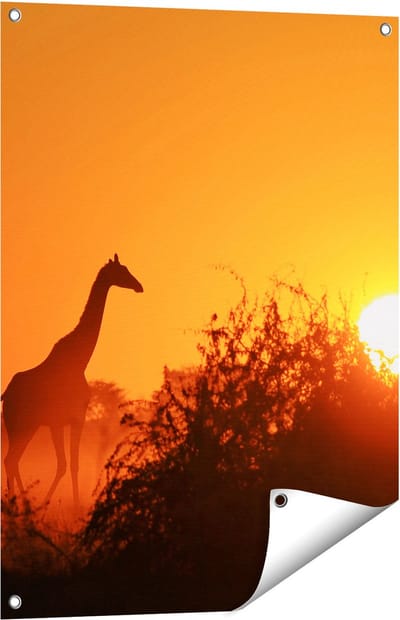 Gards Tuinposter Drie Giraffe Silhouetten bij Zonsondergang - 60x80 cm - Tuindoek - Tuindecoratie - Wanddecoratie buiten - Tuinschilderij