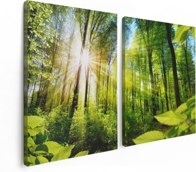Artaza Canvas Schilderij Tweeluik Weg Omringd Met Bomen In Het Bos - 120x80 cm - Wanddecoratie Woonkamer - Schilderijen - Muurdecoratie
