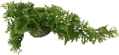 Aqua Della - Aquariumplanten Kunststof - Vissen - Hangend Mos 5cm Gemengde Kleuren - 1st