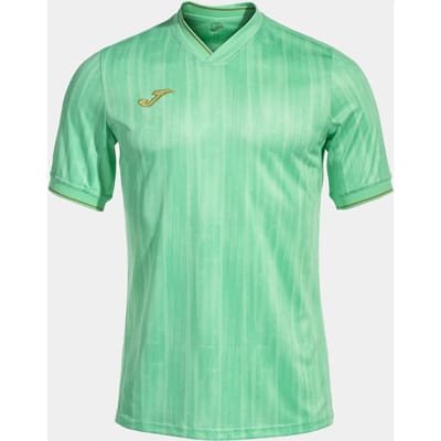 Joma Gold Vi T-shirt Met Korte Mouwen Groen 2XL Man