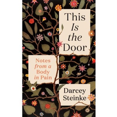 This Is The Door - Darcey Steinke