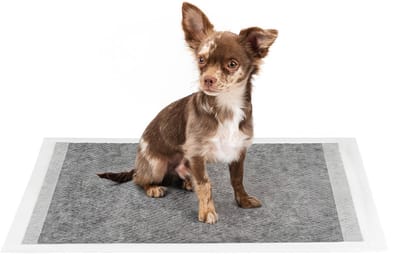 lionto puppy pads 60x60 cm, 6-laags, met actieve kool, 50 stuks