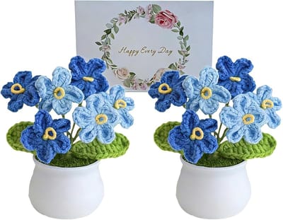Daity Set van 2 handgemaakte vergeet-me-nietjes in potjes - Gehaakte vergeet-me-nietjes - kunstbloemen als Valentijnsdagcadeau - schattige gehaakte bloemdecoraties voor vrouwen - geschikt voor thuis - op kantoor en op het bureau (blauw)