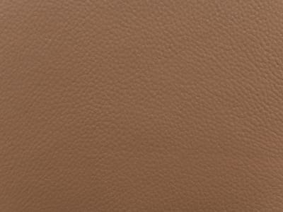 Vente-unique Fauteuil in camelkleurig leer DUGORI