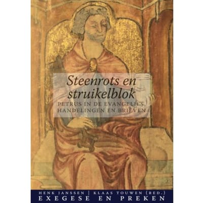 Steenrots En Struikelblok - Henk Janssen