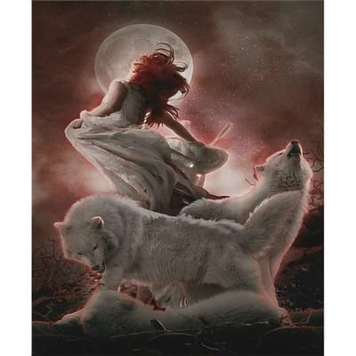 Diamant borduurwerk patroon Wolf en meisje foto Home Decor volledige ronde Diamond schilderij kruissteek 20X30CM