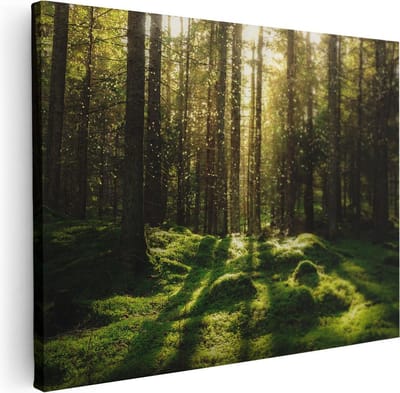 Artaza Canvas Schilderij Landschap - 40x30 cm - Klein - Wanddecoratie Bos - Muurdecoratie Bomen - Kamer Accessoires Natuur