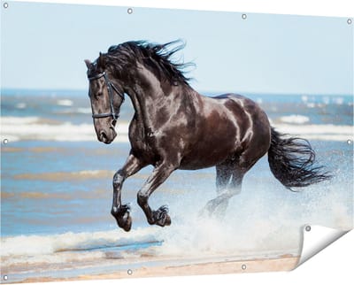 Gards Tuinposter Zwart Paard in het Water - 150x100 cm - Tuindoek - Tuindecoratie - Wanddecoratie buiten - Tuinschilderij