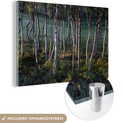 ® Glasschilderij 180x120 cm - Schilderij acrylglas - Het berkenbos in het Nationaal park Abisko in Zweden - Foto op glas - Muurdecoratie woonkamer - Wanddecoratie slaapkamer - Schilderijen