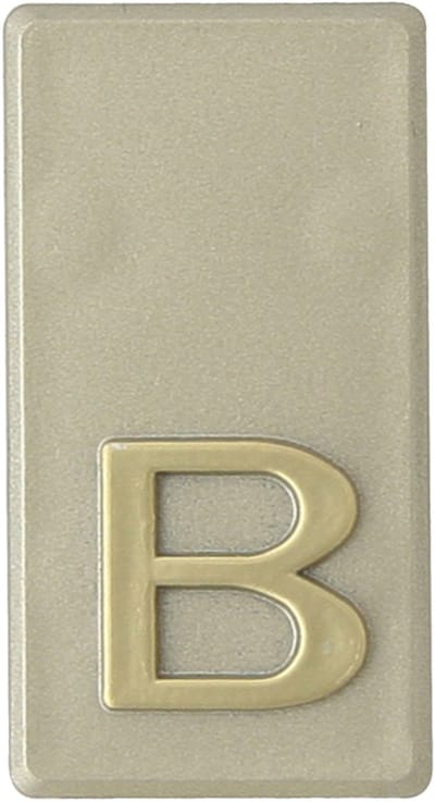 Domino® Deurnummer Letter Zelfklevend INV - "B" - Olijfgroen - Woonhuisnummer Hotelkamernummer 40x47mm - Huisnummer Brievenbus Adresnummer Stickers - Huisnummerplaatje - Deur en Kamernummer - Lockernummer