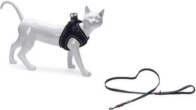 Beeztees Parinca - Kattentuigje met Lijn - Nylon - Zwart - Borstomtrek 31-37 cm - Nekomtrek 23-28 cm