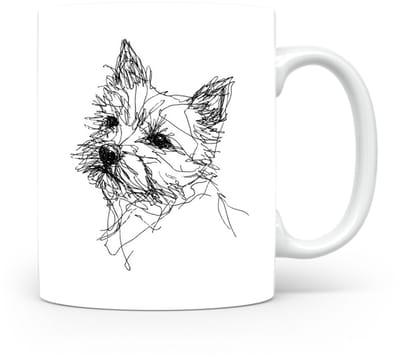 Beker Norwich Terrier