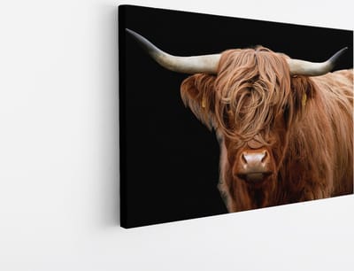Saammp Canvas Schilderij - Schotse Hooglander Koe - Natuur - Dieren - Portret - 45x30 - Foto op canvas - Wanddecoratie - muurdecoratie Woonkamer - Slaapkamer decoratie - Canvas Print