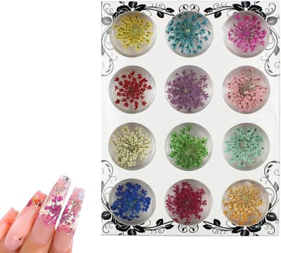 HASLED 12 kleuren droogbloemen voor nageldesign, echte gedroogde bloemen in transparante doos, voor nail art, sieraden - ShopVlot